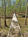 Suspension Bridge in Eno River State Park